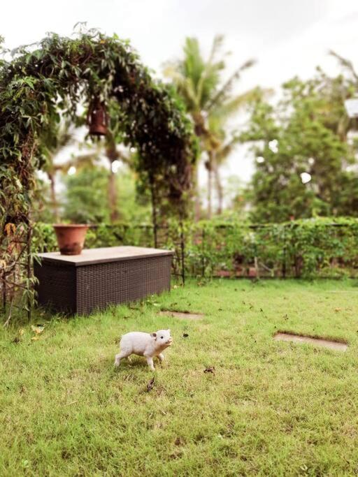 Pavoa Estate Villa